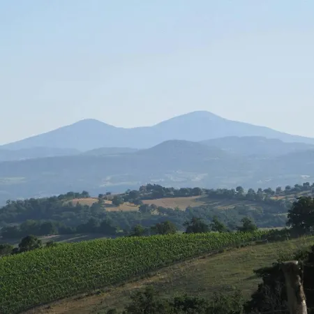 Alloggio per agriturismo Le Murelle Country