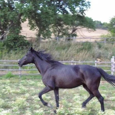 Agroturismo Le Murelle Country Manciano