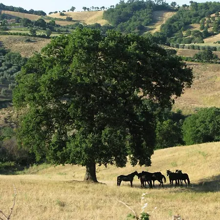 Le Murelle Country
